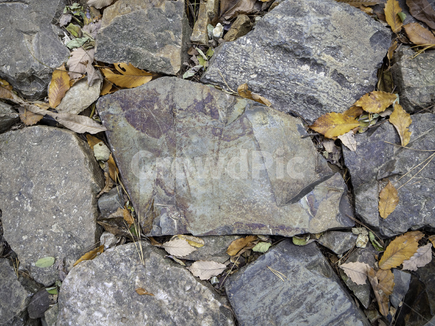 바닥,ground,돌,stone,자연,nature,판석,슬레이트,slate,flagstone