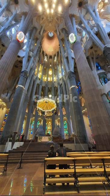 스페인,베르셀로나,사그라다,파밀리아,성당,가우디,spain,sagrada,familia,catholic,church,gaudy,barcelona,건축물,building,lighting
