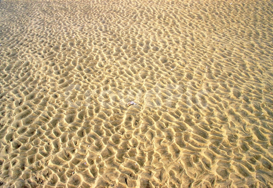 바닷가,모래밭,백사장,흔적,패턴,해안,해수욕장,서해안,sns,sand,seaside,ebook,pattern,texture,바다,여름,파문,바탕,백그라운드,시안,디자인,콘텐츠,텍스쳐,모바일,웹,전단,마케팅,라인,background,텍스타일,자연,무늬,추상,형상,굴곡,색감,컨셉,컨셉트,콘셉,콘셉트,개념,생각,감성,느낌,필,feel,분위기,네추럴,natural,summer,자연,풍경,nature,landscape,해변,바다,beach,sea,텍스처,질감,패턴,texture,pattern,soil,흙,outdoors,옥외,모래