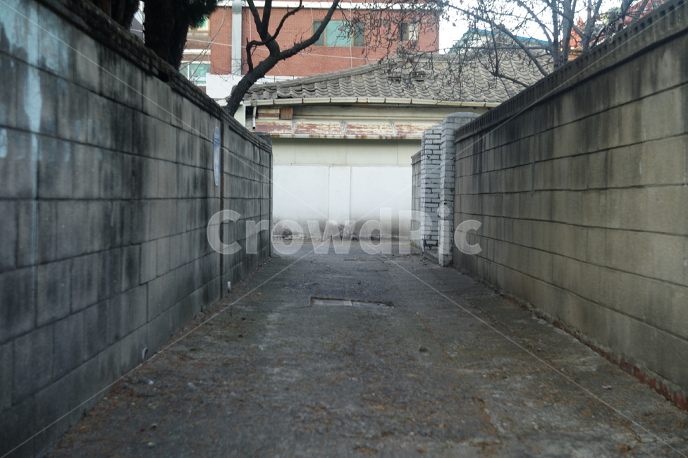 골목,옛동네,오래,감성,길,골목길,alley,town,도시,road,도로,city,시티,street,거리,building,건물,urban,어반