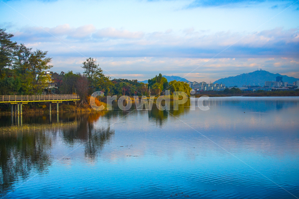 호수,저수지,가을,계절,반영,투영,다리,철교,나므,숲,가을,계절,fall,autumn,season,도시,풍경,city,landscape,한국도시풍경,한국도시경관,korea cityscape,water,물,nature,자연,outdoors,옥외,lake