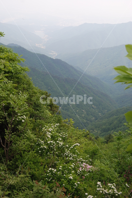 산,mountain,tree,nature,trail,등산로,자연,풍경,nature,landscape,outdoors,옥외,slope,경사
