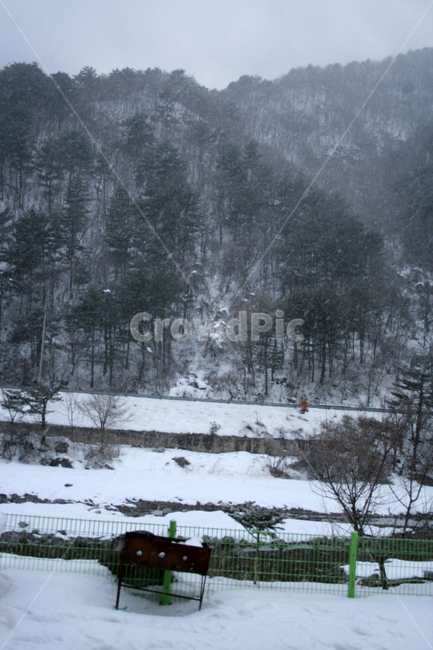 겨울,산,눈,winter,snow,겨울,계절,winter,season,자연,풍경,nature,landscape,outdoors,옥외,tree,나무,plant,식물