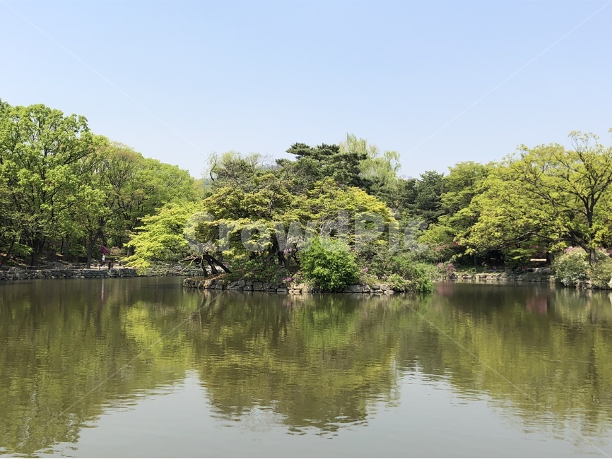봄,풍경,고궁,자연,한국,한국전통,한국문화,korean traditional,korean culture,랜드마크,landmark,tourist attraction,한국랜드마크,한국관광지,한국명소,korea landmark,korea tourist attraction
