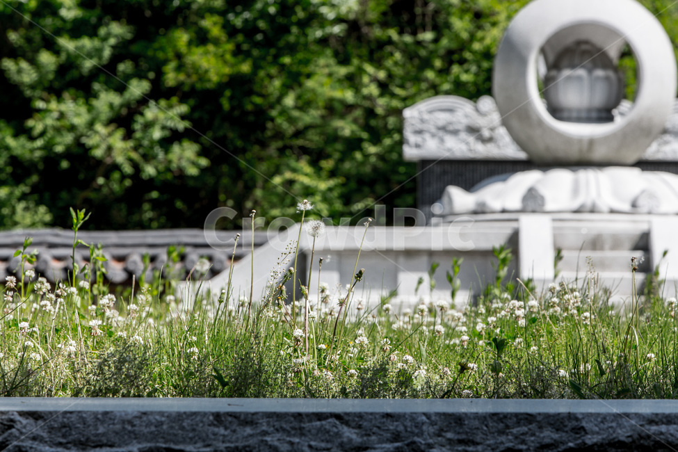 사찰,비석,전통,석조물,공예,식물,자연,plants,nature,꽃,flower,조각상,동상,석상,조형물,statue,bronze statue,stone statue