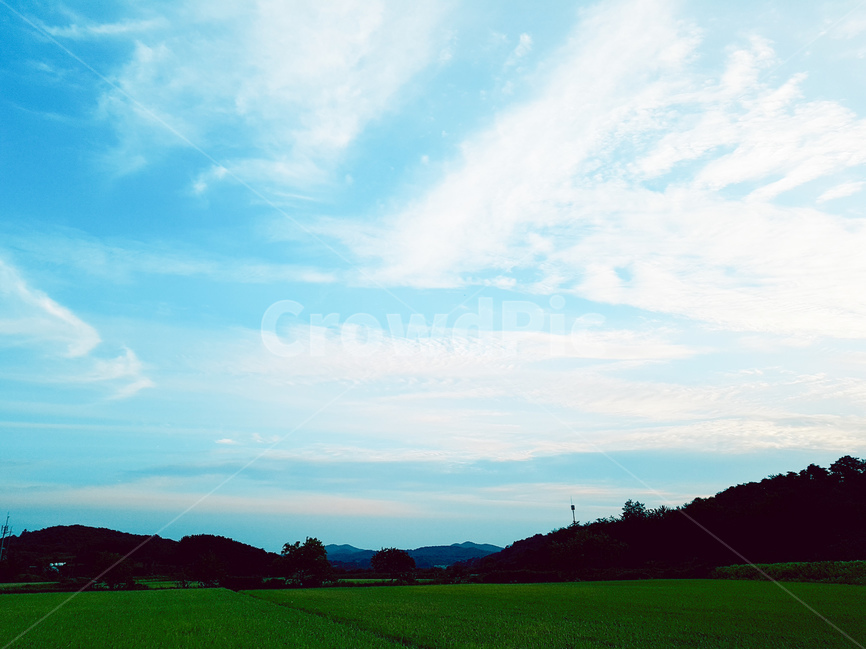시골,논,하늘,풍경,구름,자연,풍경,nature,landscape,outdoors,옥외,field,들,grass,잔디,plant,식물,grassland,목초지