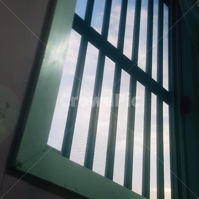 창가,새벽,새벽하늘,창문,감성