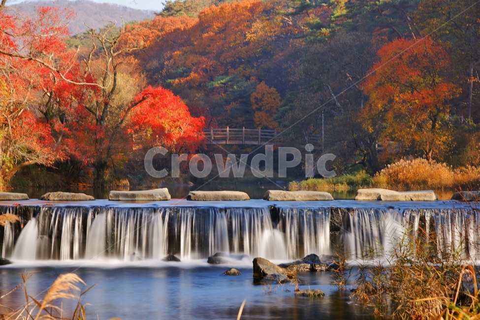 마곡사,유네스코,사찰,단풍,풍경,가을,계절,fall,autumn,season,자연,풍경,nature,landscape,water,물,outdoors,옥외,river,강