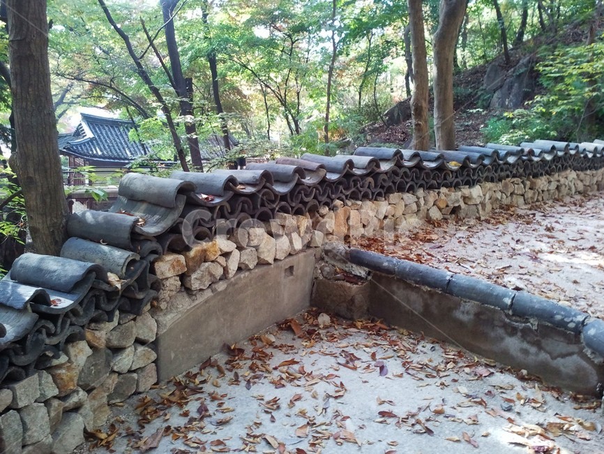 가을,autumn,leaves,낙엽,한적한,힐링,자연,season,나무,기와,nature