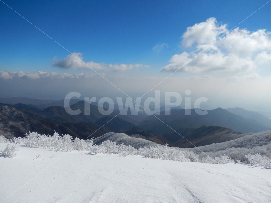소백산,눈꽃풍경,상고대,겨울풍경,국립공원,겨울동화,힐링,감성,아름다움,뷰티풀,설국,눈풍경,파란하늘,100대명산,겨울명산,설경,서리꽃,영동,snow,landscape,눈,화이트,자연,신비로운,경이로운,천상,비경,치유,겨울,계절,winter,season,자연,풍경,nature,landscape,한국자연풍경,한국자연경관,korea nature landscape,outdoors,옥외,mountain,산,ice,얼음