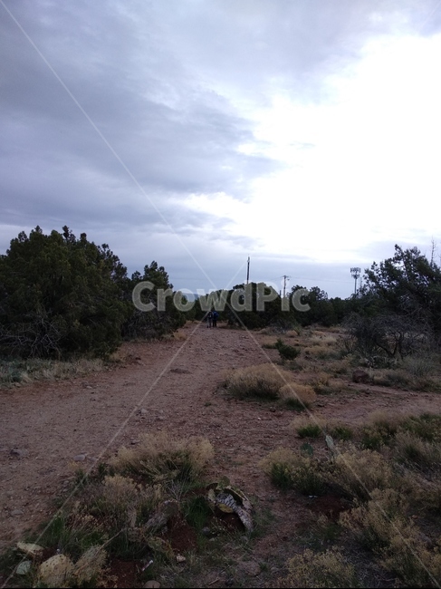 풍경,미국사막,대자연,아침,자연,자연,풍경,nature,landscape,ground,바닥,dirt road,흙길,road,도로,gravel,자갈,outdoors,옥외