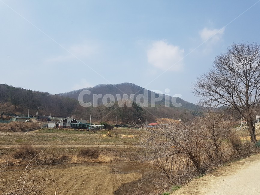 양평,산,나무,하늘,구름