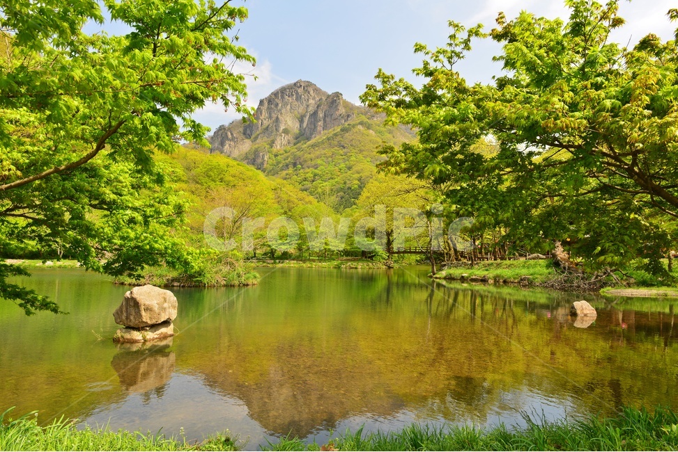 장성,백양사,신록,연두색,봄,계절,하늘,nature,자연,water,물,outdoors,옥외,lake,호수