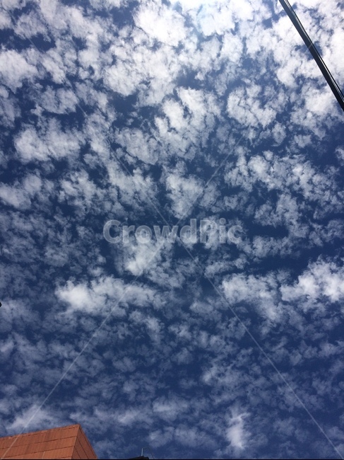 구름,양떼구름,하늘,맑은날,뭉게구름