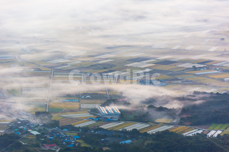 운해,들판,아침들판,안개,가을들판,자연,풍경,nature,landscape,시골,마을,country,rural,town,outdoors,옥외,경치,scenery,aerial view,조감도