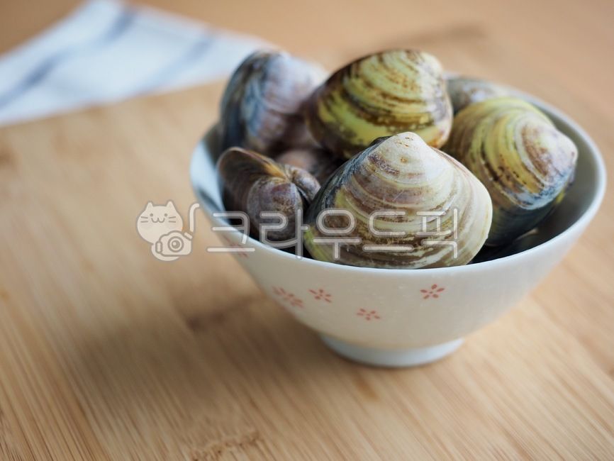 백합조개,조개,생조개,어패류,음식재료,요리재료,해물,음식,웰빙,웰빙음식,조개껍질,배경,lilyclam,clam,rawclam,foodingredients,cookingingredients,seafood,food,wellbeing,wellbeingfood,clamshell,background,sealife,해양생물,대합,invertebrate,무척추동물,음식,식재료,요리,food,cook,meal,dishes,food reserves