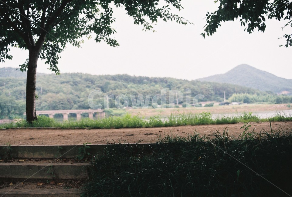 다리,길,필름,나무,저수지,배경화면