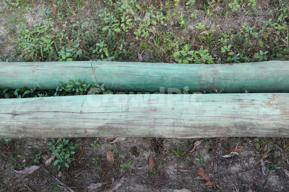통나무,나무,자연,에메랄드색,푸른색,wood,log,nature,tree,blue,emeraldcolor,나무,trees,wood
