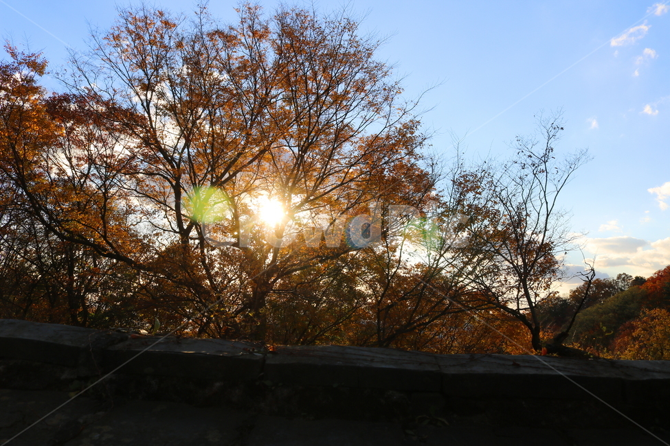 남한산성,산성,성벽,자연,풍경,가을,단풍,나무,공원,가을,계절,fall,autumn,season,light,빛,flare,플레어