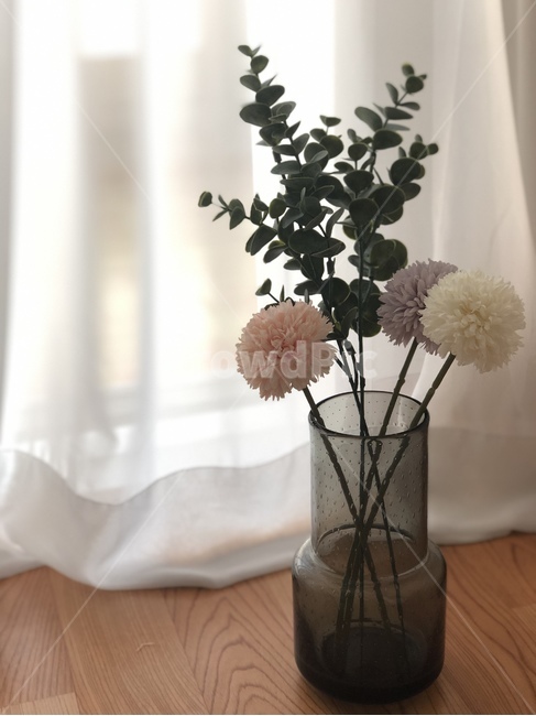 plant,식물,꽃꽂이,꽃병,vase,홈데코,유칼립투스,아늑한,cozy