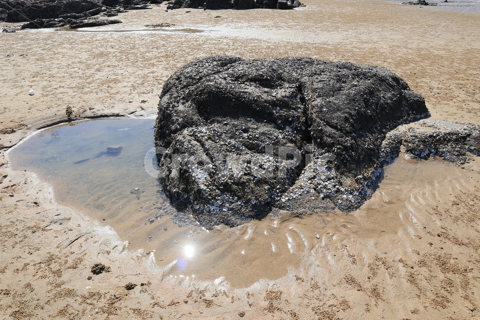 바다,바위,돌,바다바위,stone,모래사장,sand,해변,바다,beach,sea
