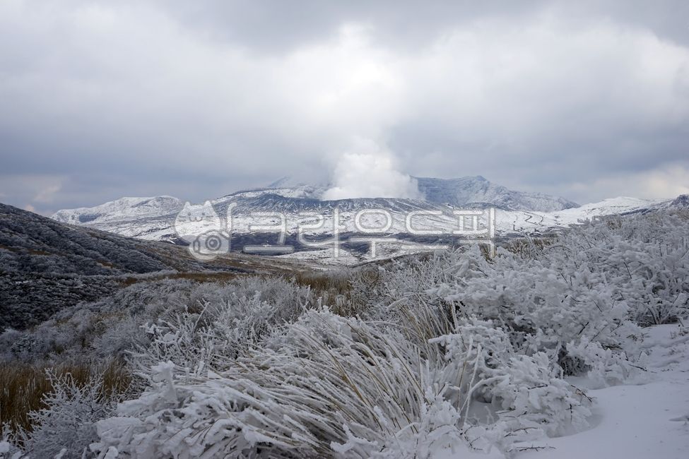 겨울산,눈,구름,하늘,숲,아소산근처,수증기,화산,일본,겨울,계절,winter,season,자연,풍경,nature,landscape