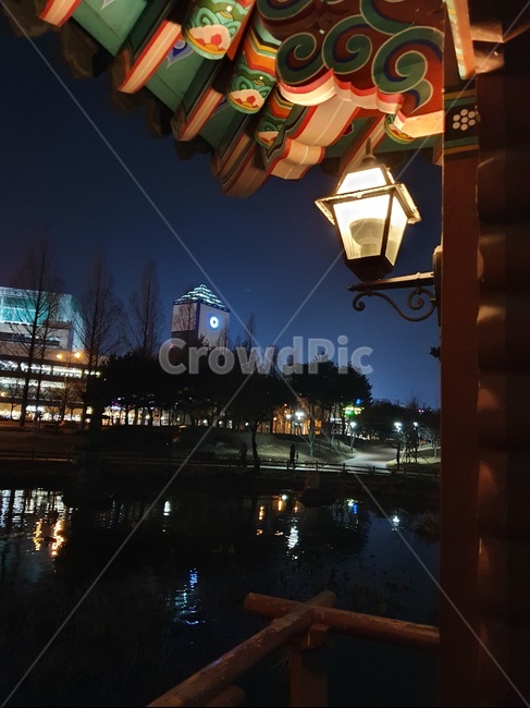 architecture,lantern,temple,korea,tradition,night,건축물,사원,한국,전통,유림공원,한옥,처마,전등,밤,공원,호수,park,lake