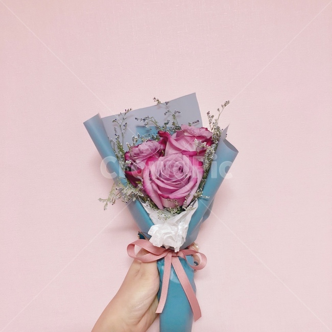 분홍색,색감,장미,꽃,꽃다발,flower,색채,선물