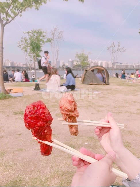 치킨,공원,텐트,한강,잔디,음식,식재료,요리,food,cook,meal,dishes,food reserves,육류,고기,meat