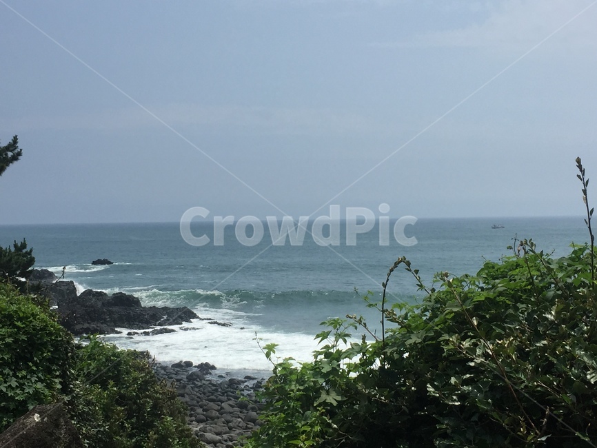 자연,풍경,landscape,nature,휴식,rest,season,바다,제주도,바닷가,파도,힐링,여름,여름바다,sea,summer,jeju