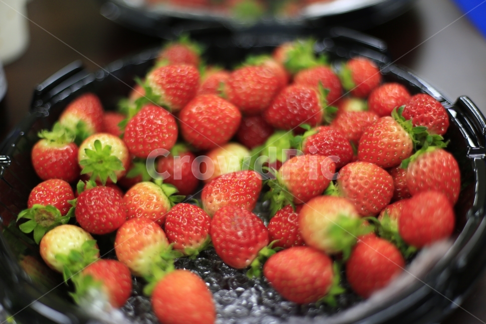 딸기,과일,열매,빨강,fruit,strawberry,nature,red,과실,농장,농작물,빨간,빨강색,맛있는,맛있다,싱싱한,음식,식재료,요리,food,cook,meal,dishes,food reserves,과일,열매,fruit,채소,야채,vegetables