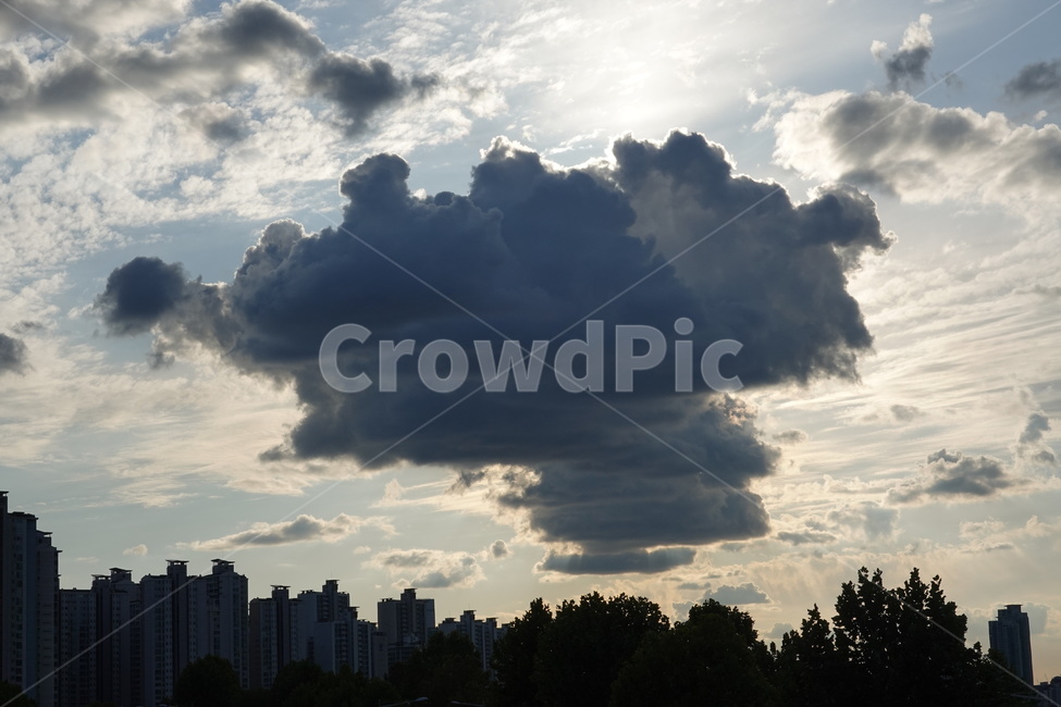 구름,하늘,sky,하늘뷰,skyview,cloud,가을하늘,도시,풍경,city,landscape,nature,자연,weather,날씨,outdoors,옥외,cumulus,적운