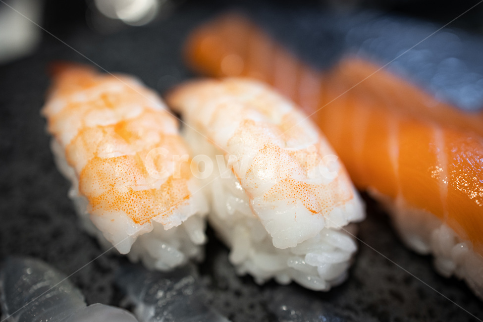 초밥,쓰시,sushi,새우초밥,한치초밥,일식,맛집,음식,일본음식
