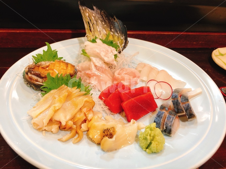 회,참치,팔각,모시조개,홋카이도,요리,food,식사,음식