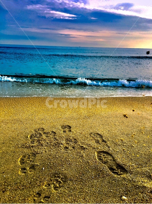바다,발자국,겨울,파도,모래,자연,풍경,nature,landscape,해변,바다,beach,sea,ocean,대양,outdoors,옥외,water,물