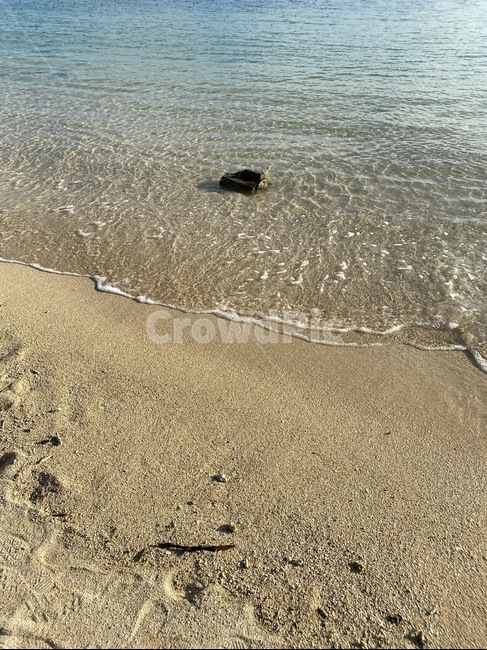water,물,shoreline,해안선,outdoors,옥외,sand,모래,nature,바다,sea,ocean,자연,해안,해변