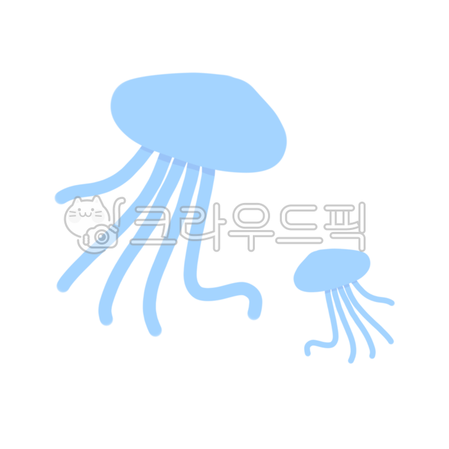 jellyfish,해파리,바다,sea,동물,여름