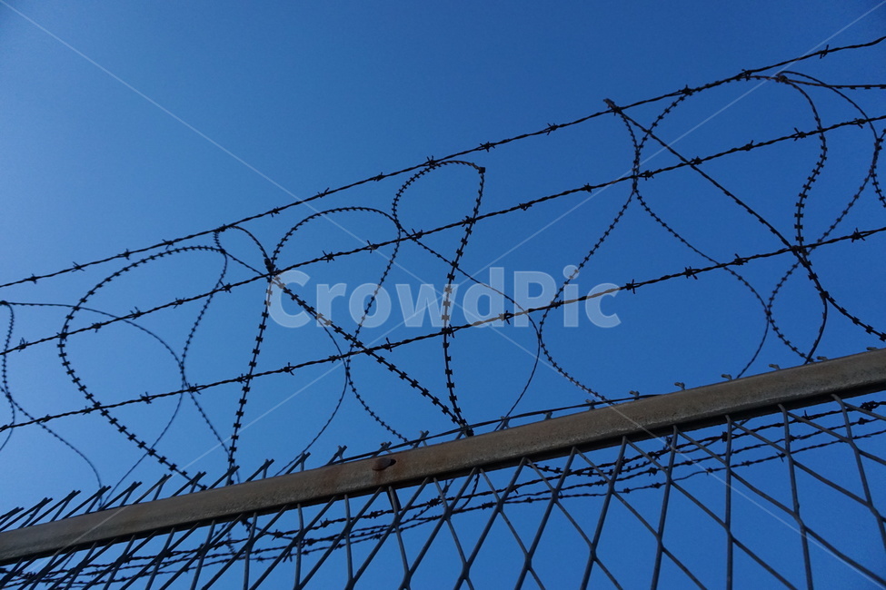 철조망,철사,하늘,철망,파란하늘,bluesky,wirenetting,wireentanglement,wire,sky,가시철사,barbedwire,철조망울타리,barbedwirefence,wirefence