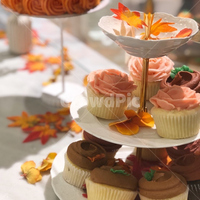 컵케이크,디저트,케이크,카페,감성사진,가을,파티,cake,sweets,음식,식재료,요리,food,cook,meal,dishes,food reserves,디저트,간식,후식,dessert,snack,감성,sensible,feeling