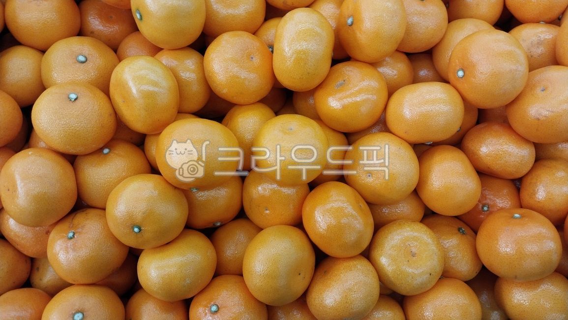 과일,천혜향,fruit,food,cheonhyehyang