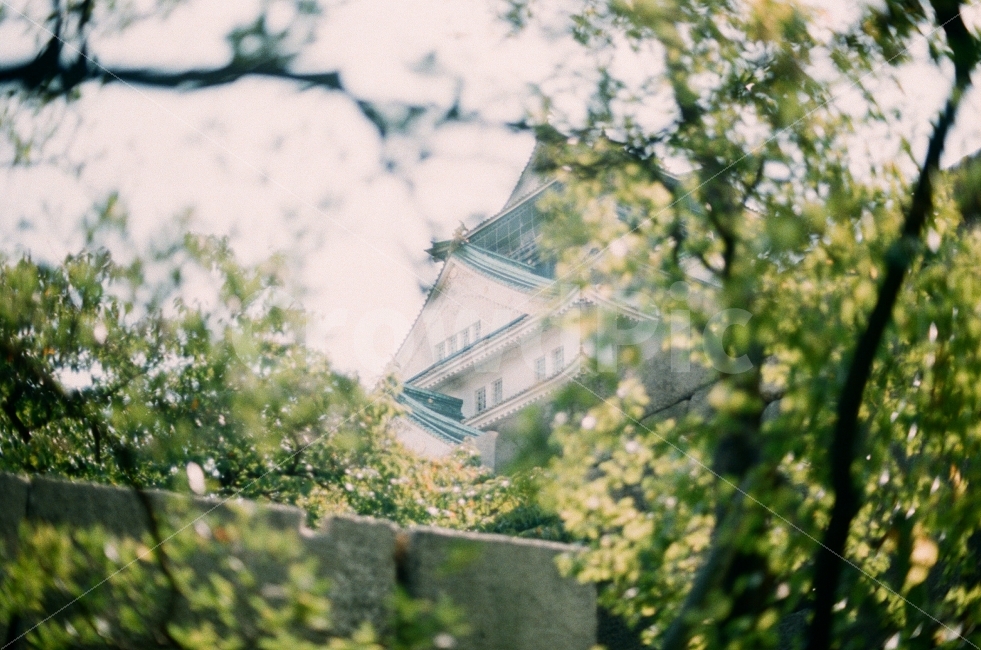오사카성,오사카,전통,일본,풍경,나무,하늘,가을,10월,감성사진,필름사진,osakacastle,osaka,japan,tradition,landscape,tree,sky,fall,sensitive,film,랜드마크,landmark,tourist attraction,해외,외국,세계,foreign,oversea,world,세계랜드마크,해외랜드마크,외국랜드마크,world landmark,world tourist attraction,감성,sensible,feeling