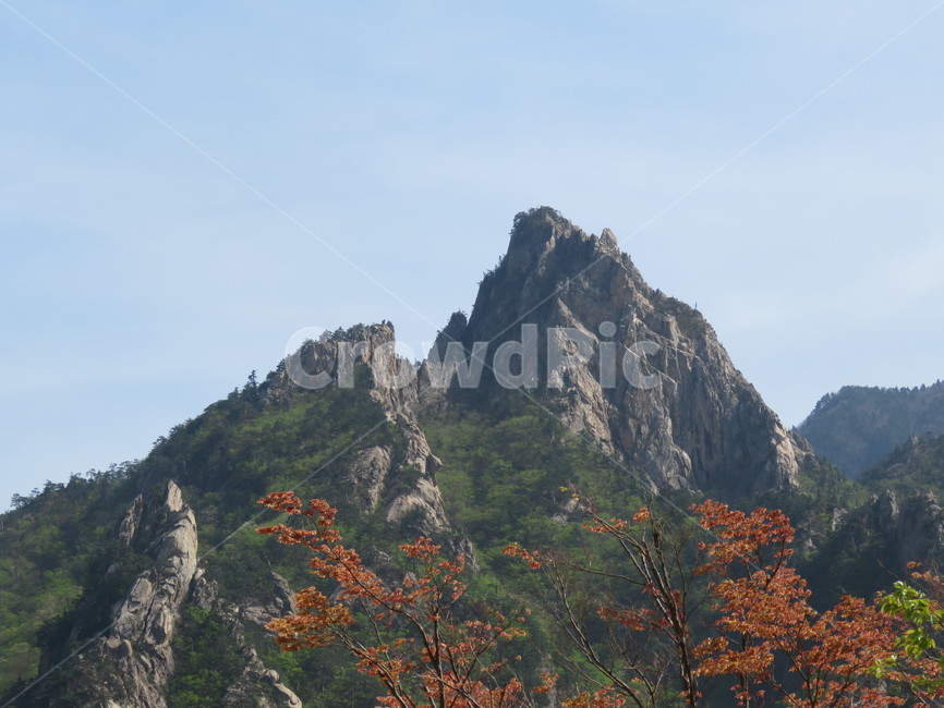 설악산,단풍,풍경,절경,바위산,바위