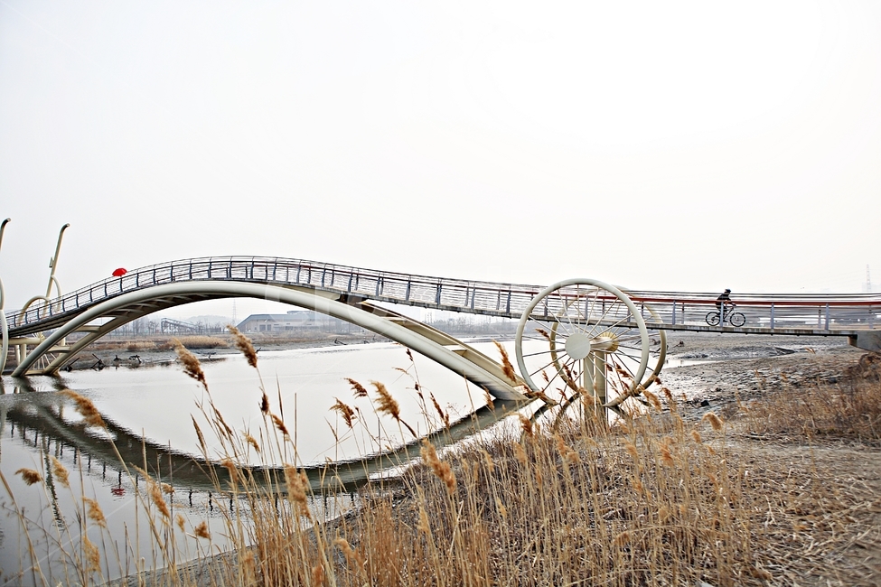 미생의다리,다리,풍경,자연,배경,건축물,건물외관,exterior,building,structure,architecture,construction