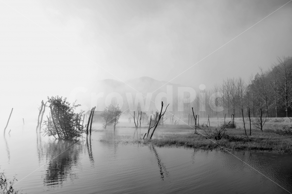 문광저수지,물안개,여행,몽환,낚시터,괴산,충북,자연,풍경,nature,landscape,한국자연풍경,한국자연경관,korea nature landscape,흑백,모노톤,monochrome,black and white,outdoors,옥외