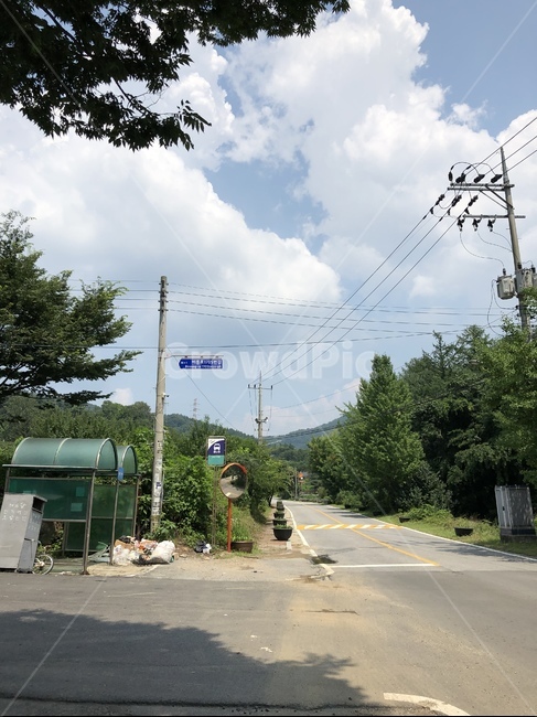 시골,버스정류장,풍경,배경,자연,나무,한적