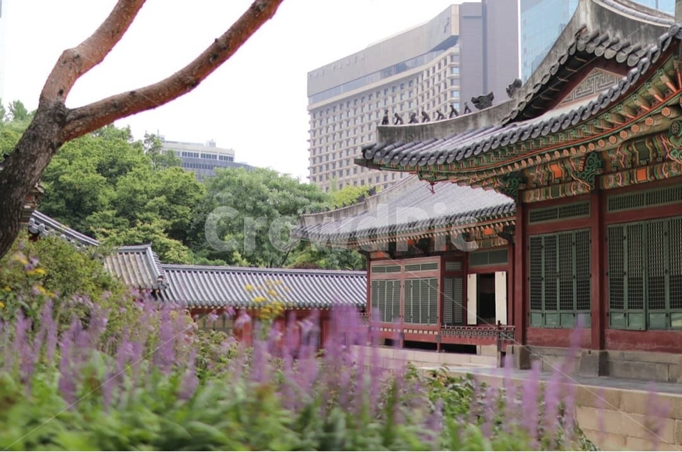 고궁,palace,도시,city,도심,downtown,꽃,flower,한국전통,한국문화,korean traditional,korean culture,건축물,건물외관,exterior,building,structure,architecture,construction