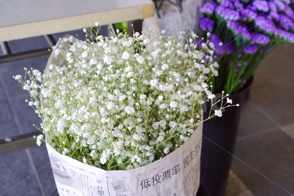 안개꽃,신문지꽃다발,흰꽃,꽃다발,일본감성,babysbreath,babybreath,gypsophila,whiteflower,bouquet,newspaperbouquet,식물,자연,plants,nature,꽃,flower