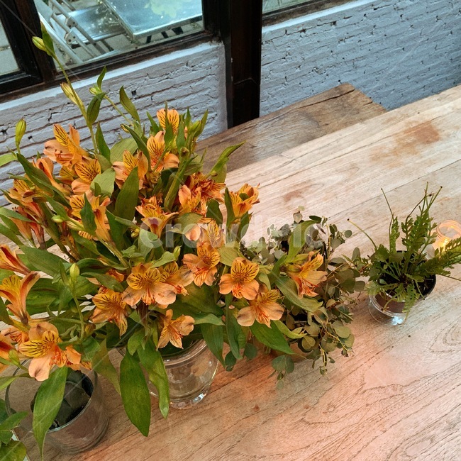 plant,식물,화분,꽃,인테리어,플랜테리어,실내용화초,화분,화초,house plant