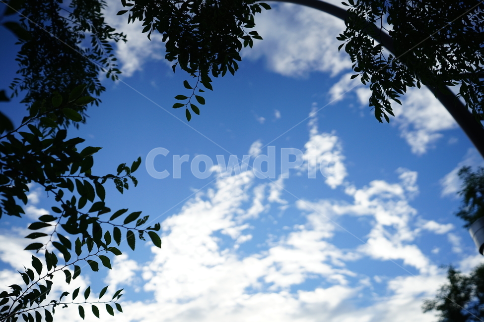 풍경,풍경사진,자연,하늘,구름,파랑,블루,파란색,푸른하늘,sky,경치,색감,컬러,하늘색,cloud,자연,풍경,nature,landscape,light,빛,flare,플레어