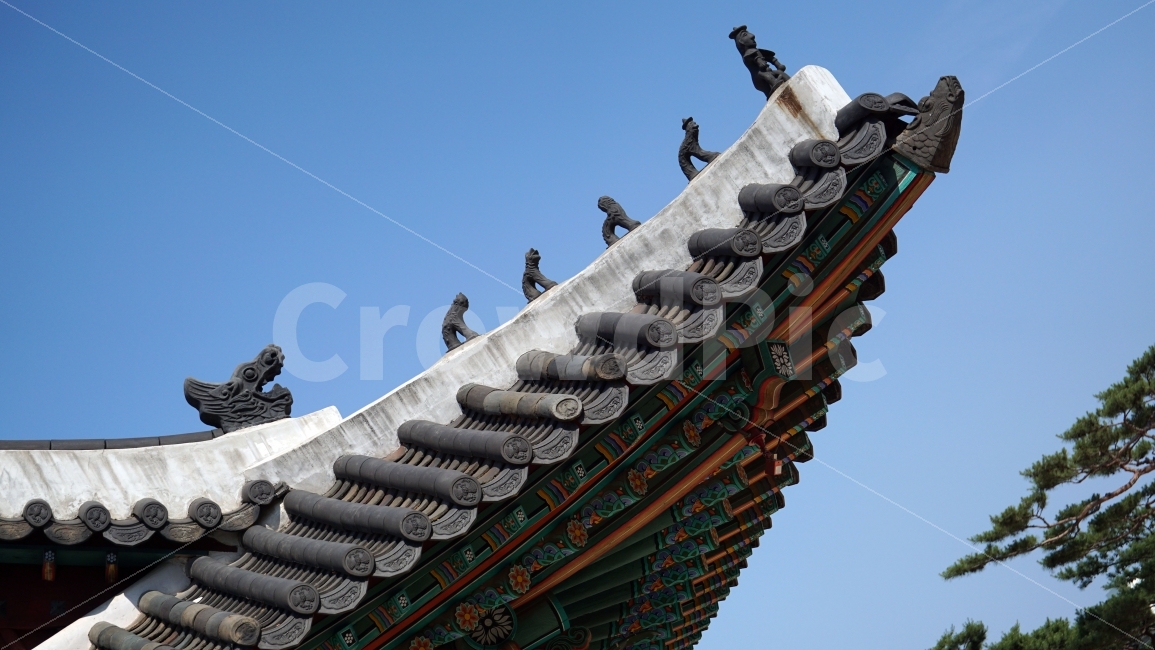 창경궁,한옥,지붕,기와,나무,미술,전통,처마,조선,역사,한국,문화,용머리,draghon,드래곤,한국문화,한국전통,토우,풍경,landscape,하늘,푸른하늘,파란하늘,blue,블루,sky,조선시대,조선왕조,용마루,추녀마루,내림마루,잡상,와제,10신상,전각,kingdom,한국자연,코리아,건축물,건물외관,exterior,building,structure,architecture,construction,한국전통,한국문화,korean traditional,korean culture